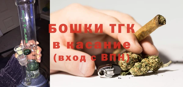 мдпв Пестово